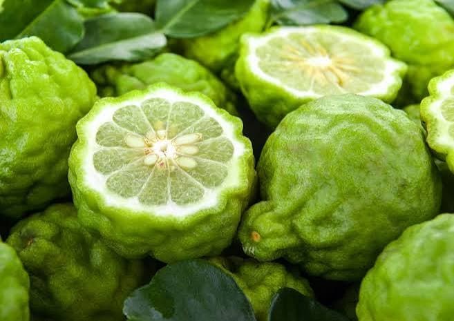 Bergamotto / Bergamot