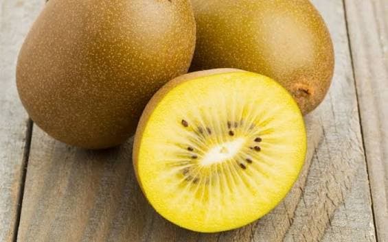 Kiwi Giallo / Gold Kiwi
